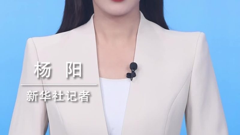 北京科研项目研发外包：揭秘背后的优势与考量**